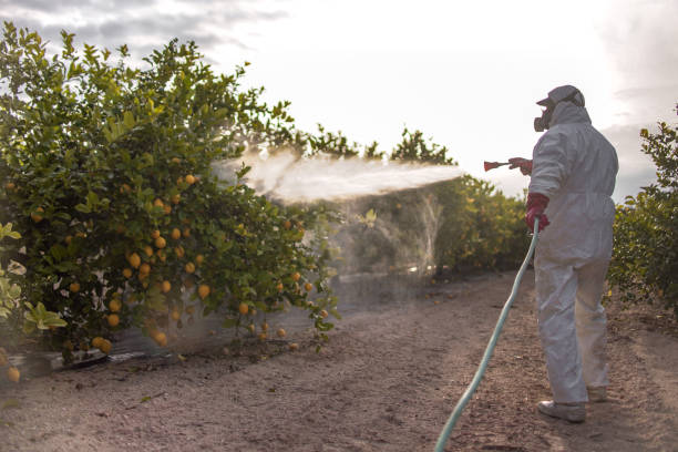 Pest Control for Restaurants in Bartow, FL
